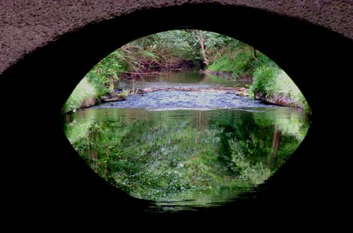 loeknitzMai