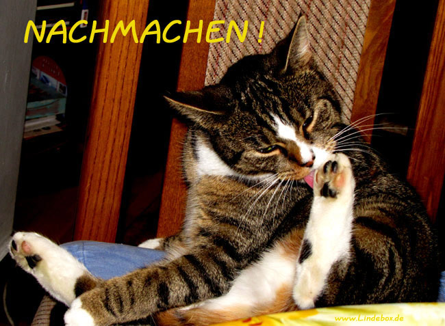 mautzelnachmach