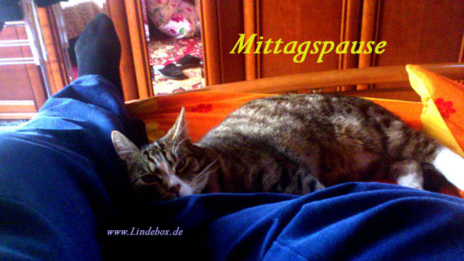 mittag001