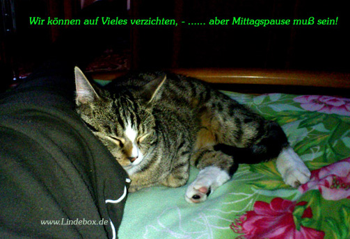 mmmittagspmmm