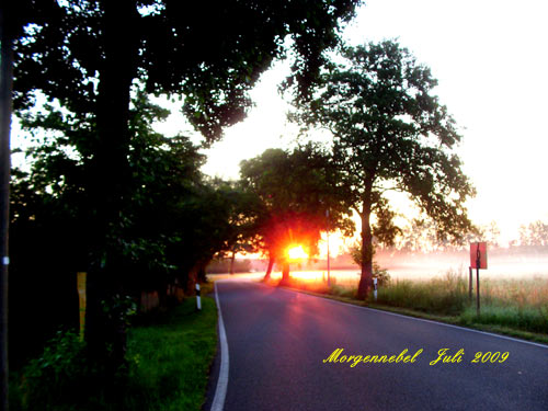 morgennebelsonn