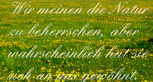 spruchnatur