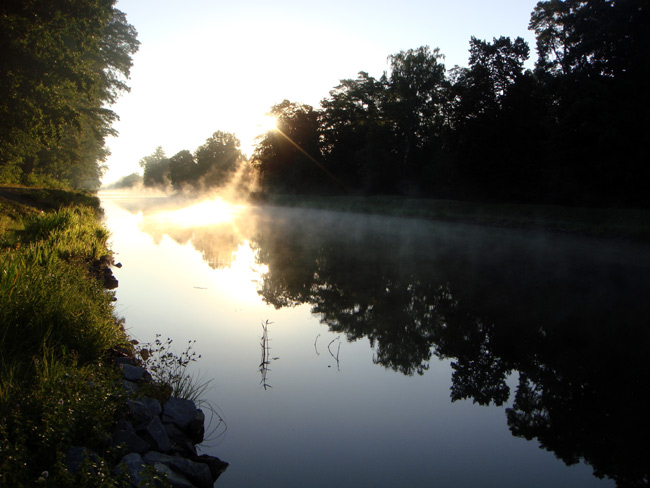 nebelnebel