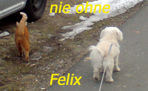 ohnefelix