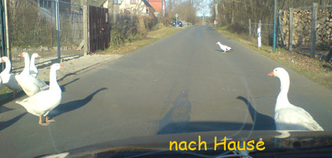 nnnachhausnn