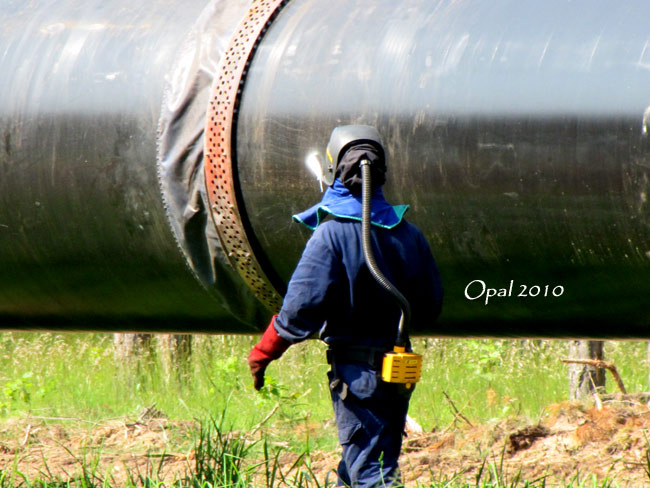 opal0012