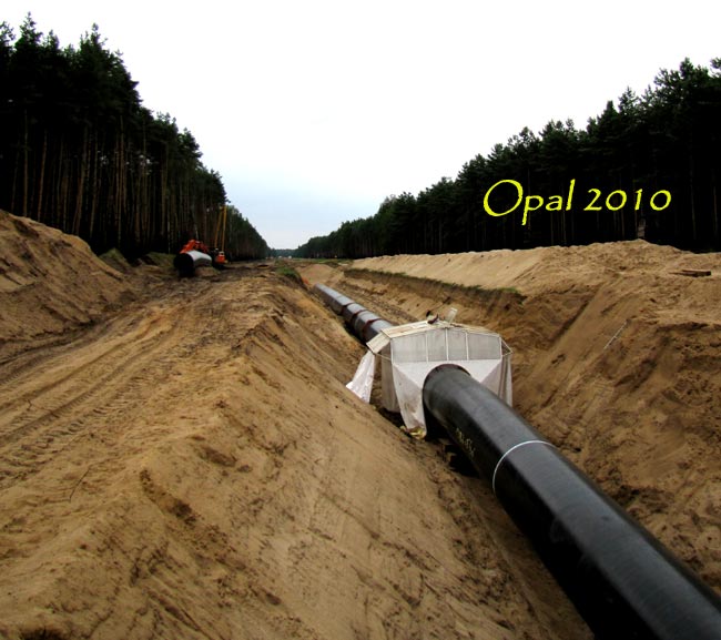 opal_0003