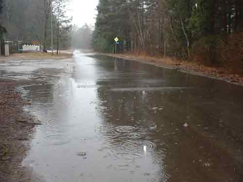Regen