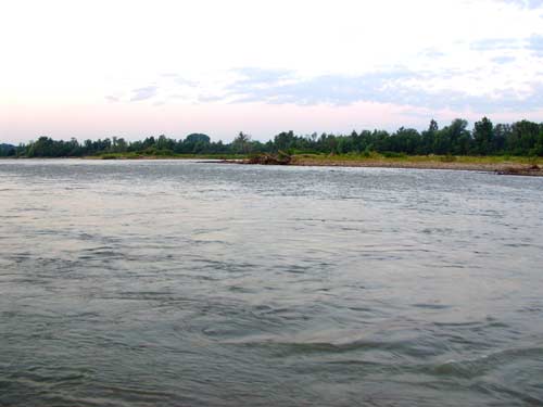 belaja