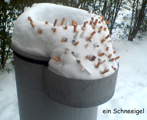schneeigel