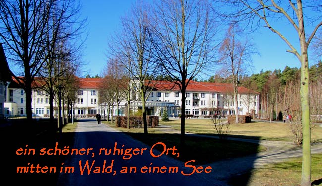 sommerf-002