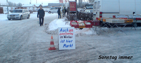 sonntagsfloh