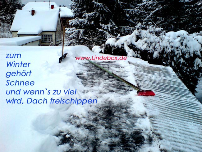 ssschneschippenss