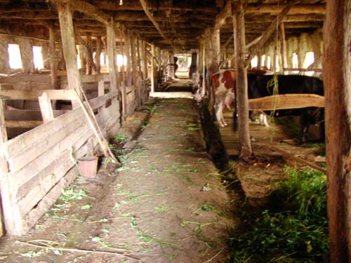 stall