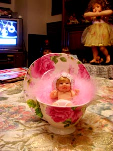 tassenbaby