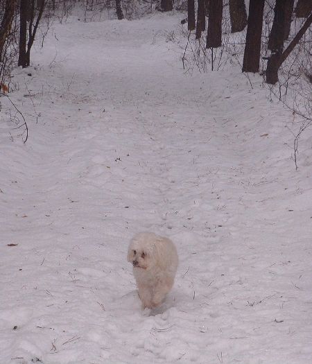 teresa im schnee