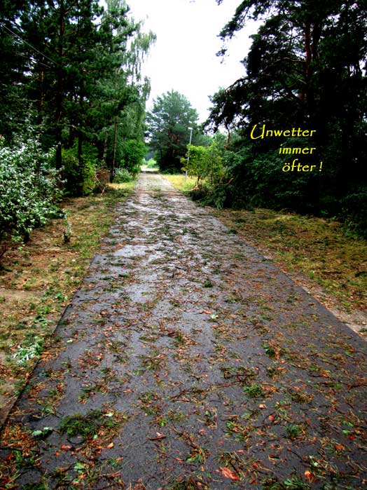 strassenachsturmx strassenachsturmx