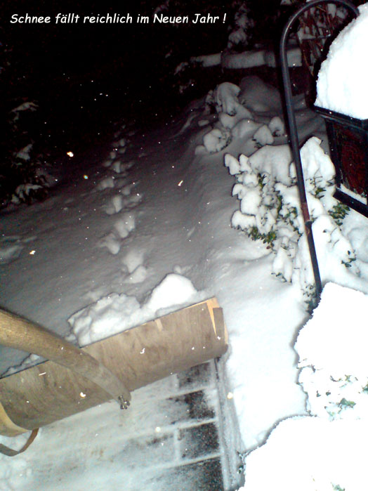 vielschnee