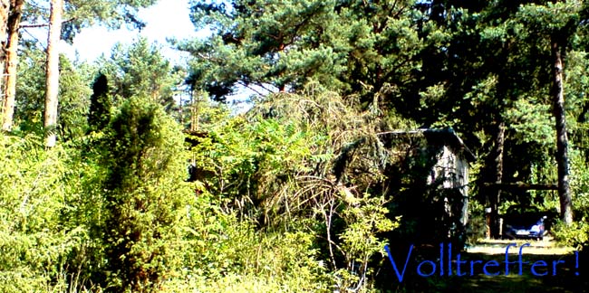 volltreffer volltreffer