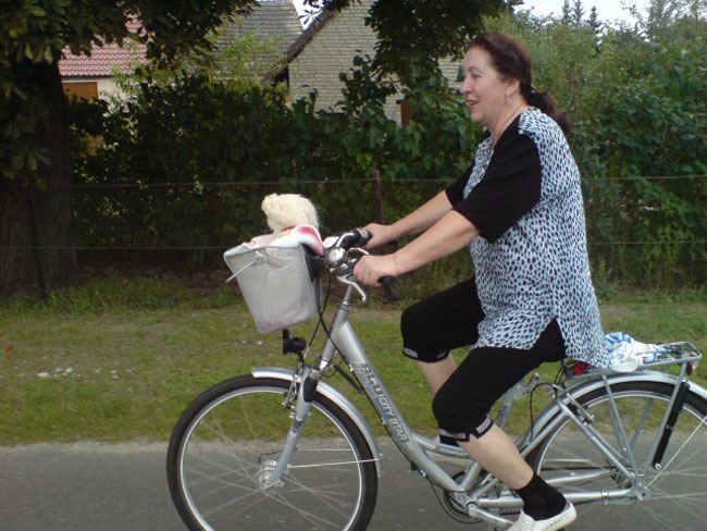 vvvaljfahrterevv