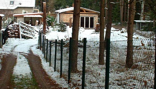 waldweg-7imwinter
