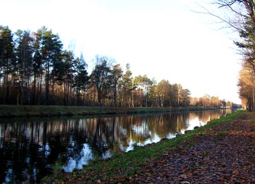 oderspreeherbst