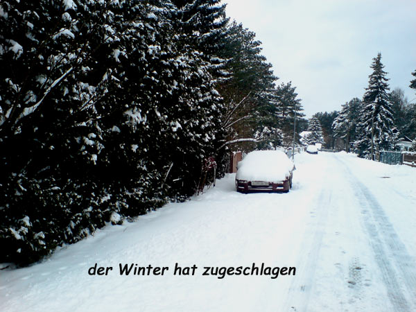 schneewinter