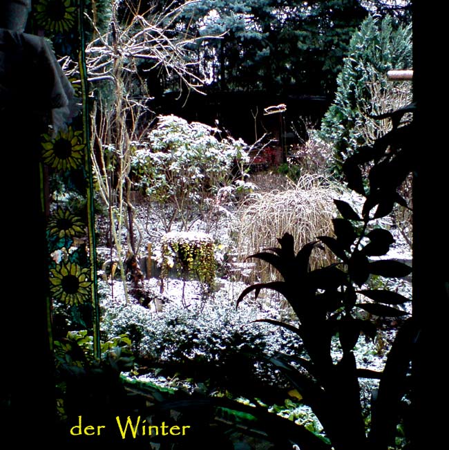 winterkommt