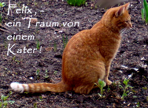 yswytraumkaterrexy
