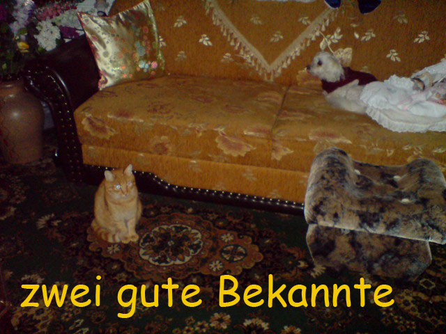 zzzweibekanntzz